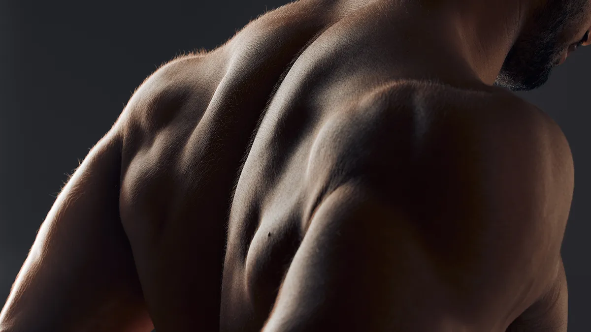 Muscular male back with an interplay of shadows